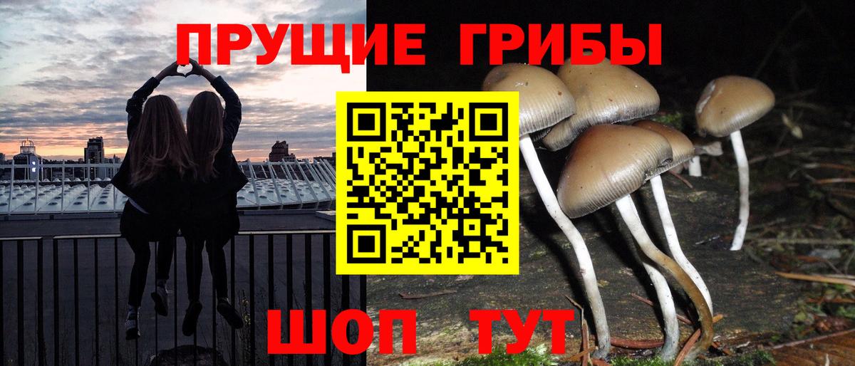 Набережные Челны  Псилоцибиновые грибы GOLDEN TEACHER  Вход с VPN  Псилоцибиновые грибы мицелий 