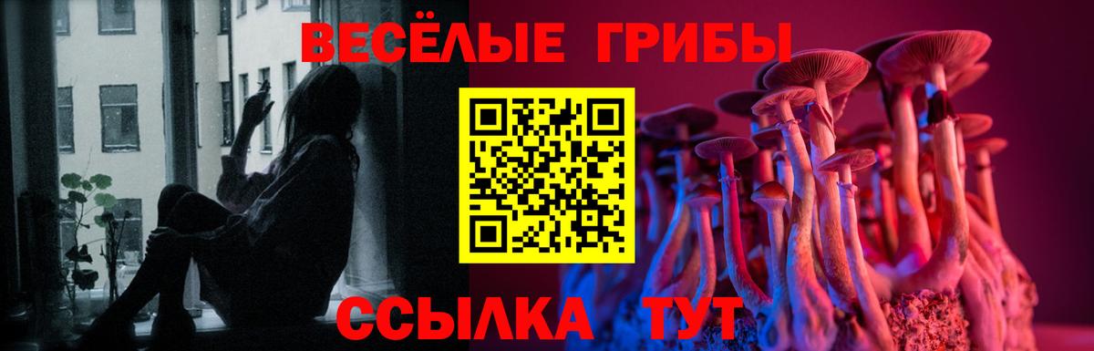 Галлюциногенные грибы Psilocybine cubensis Набережные Челны